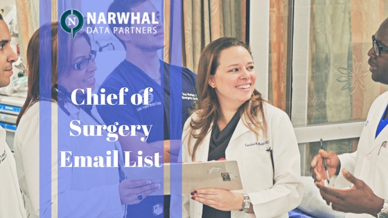 Increase your business revenue without growing your sale team with Chief of Surgery Email List from Narwhal Data Partners. Reach global customer at right time