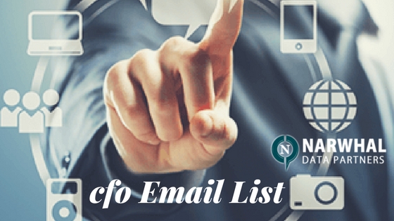 Buy verified, updated and qualified Chief Financial Officer Email List from Narwhal Data Partners to get high response with qualified sales campaigns