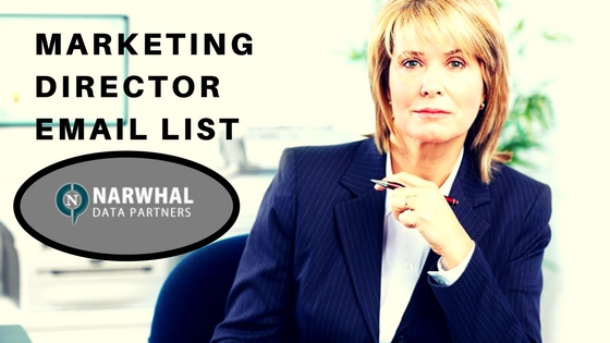MARKETING DIRECTOR EMAIL LIST