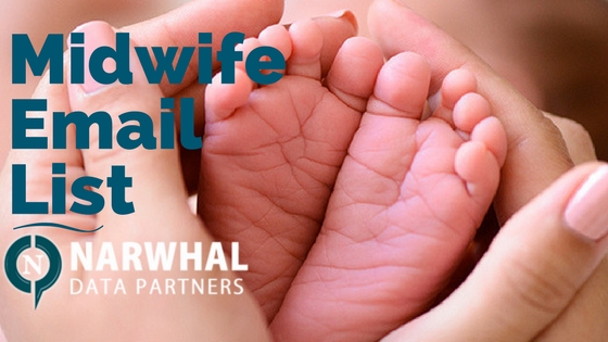 Midwife Email List