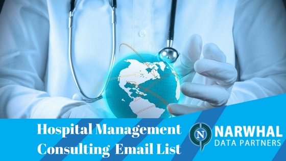 Hospital Management Consulting Email List