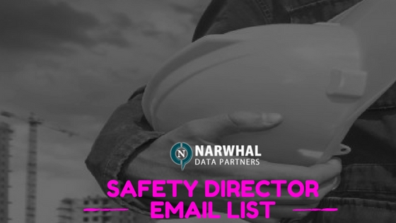 Safety Director Email List