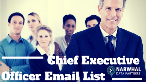 CEO Email List