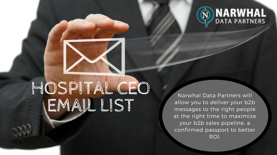 Hospital CEO Mailing List