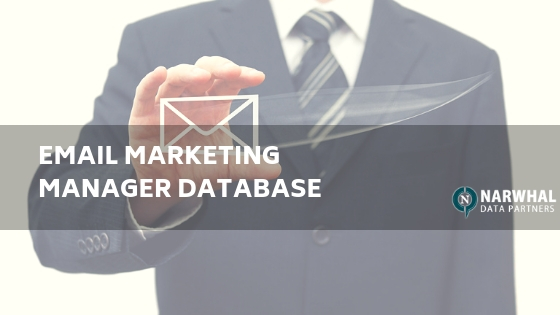Email Marketing Manager Database