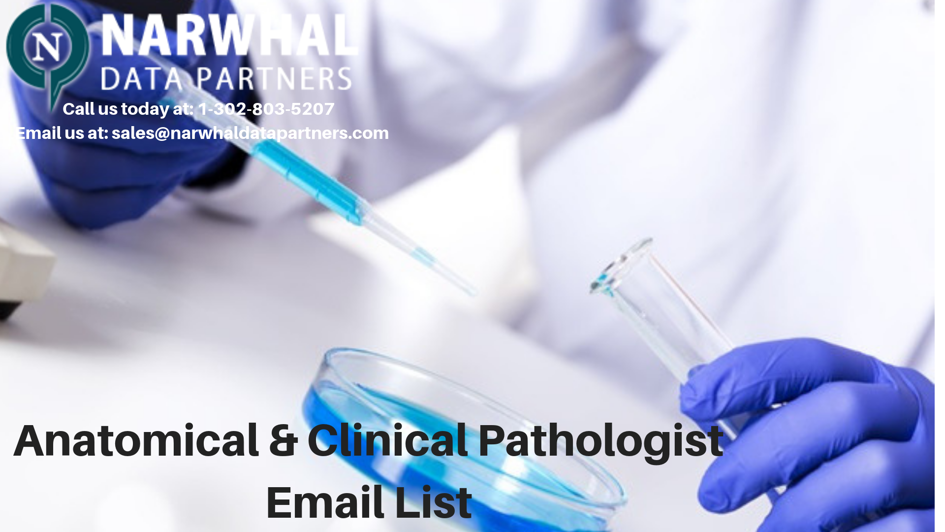 http://narwhaldatapartners.com/anatomical-and-clinical-pathologist-email-list.html