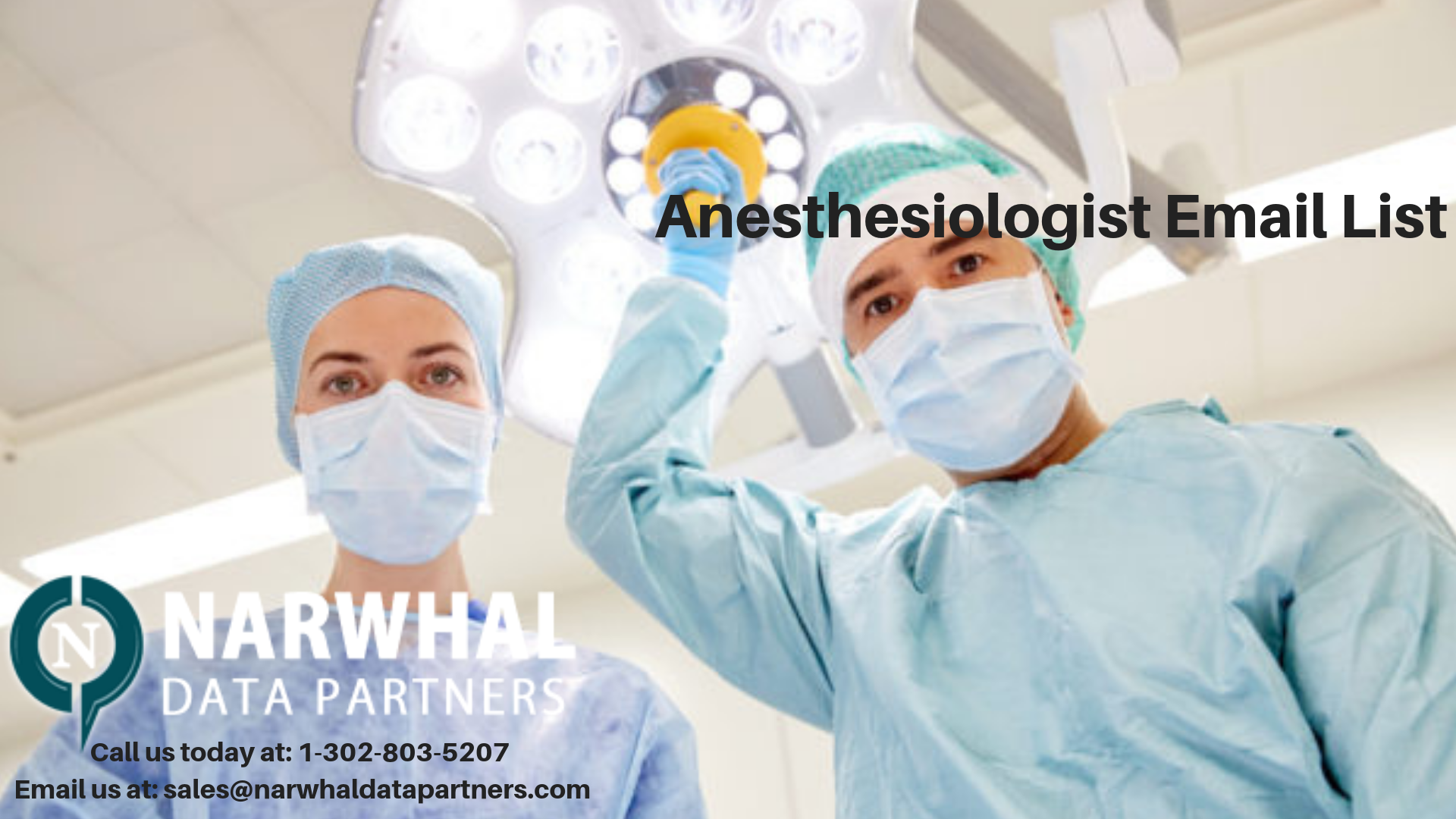 http://narwhaldatapartners.com/anesthesiologist-email-list.html