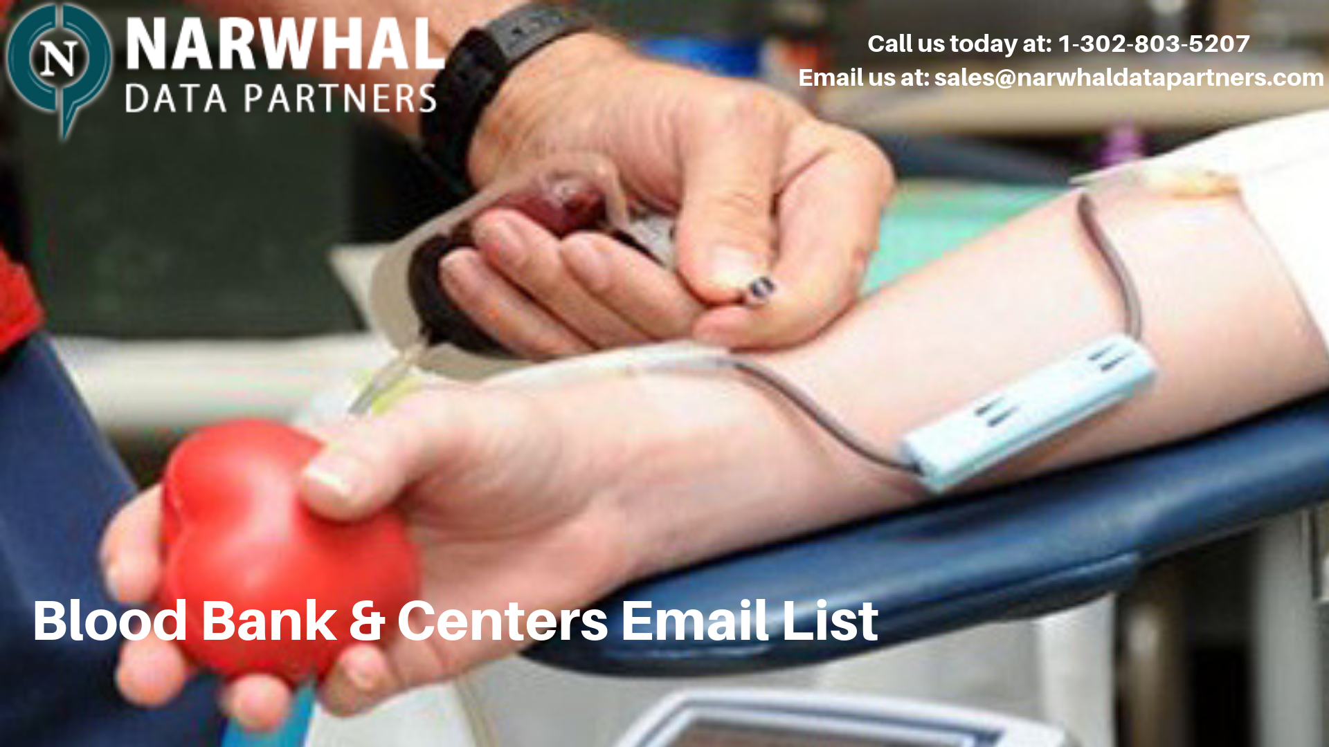 http://narwhaldatapartners.com/blood-bank-and-centers-email-list.html