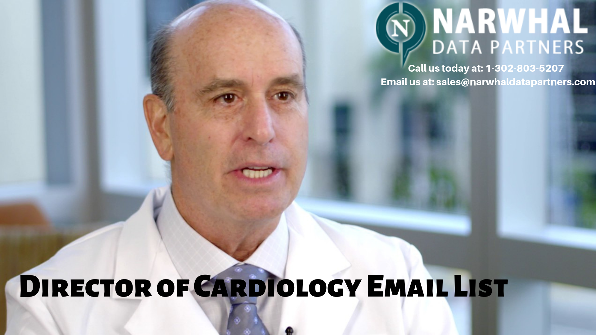 http://narwhaldatapartners.com/director-of-cardiology-email-list.html