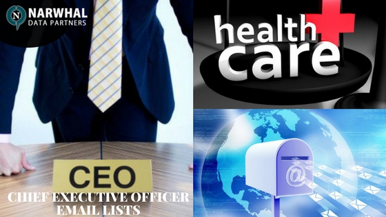 CHIEF EXECUTIVE OFFICER EMAIL LISTS