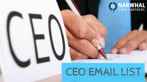 Narwhal Data Partners is pioneer in providing verified Chief Executive Officer Email List. Reach your target market and increase your revenue