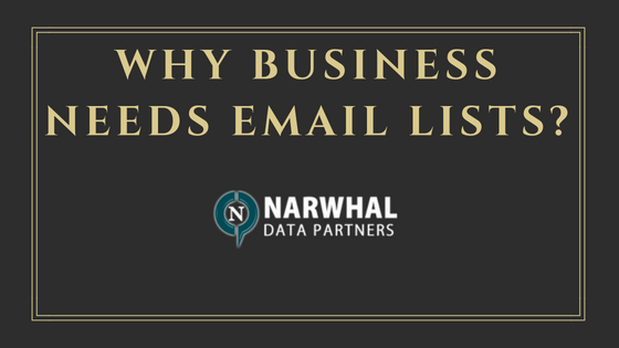 Why Business Needs Email Lists_